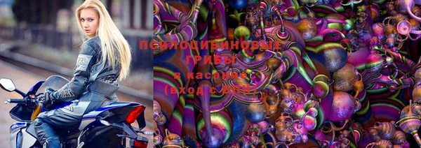 a pvp Алексин