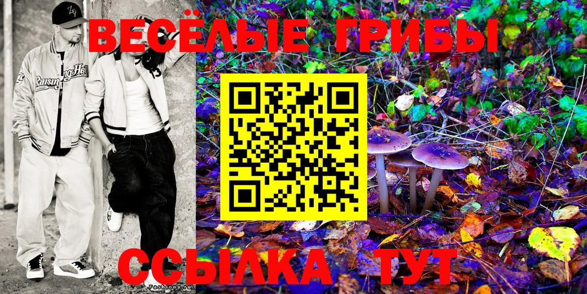 Псилоцибиновые грибы ЛСД Ялта